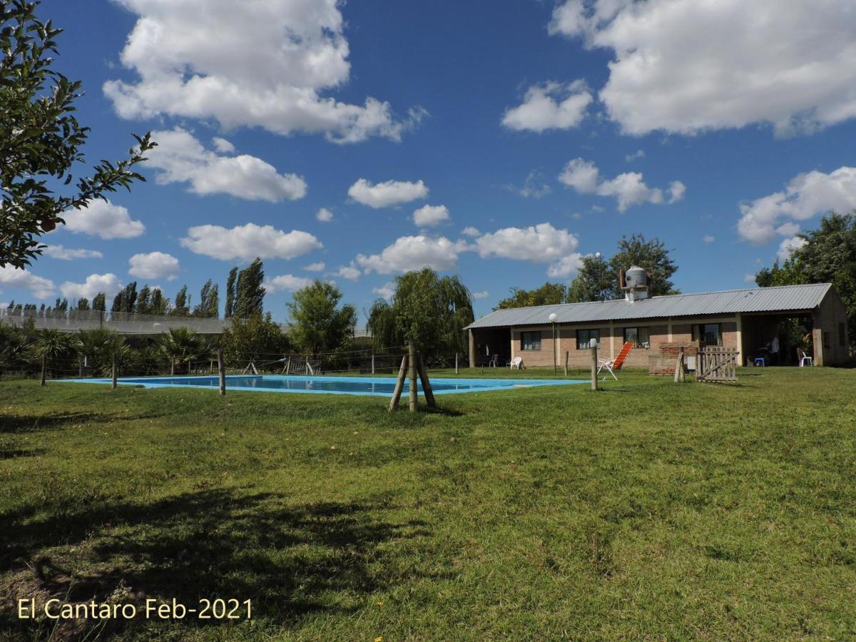 El Cantaro * San Rafael (Mendoza)