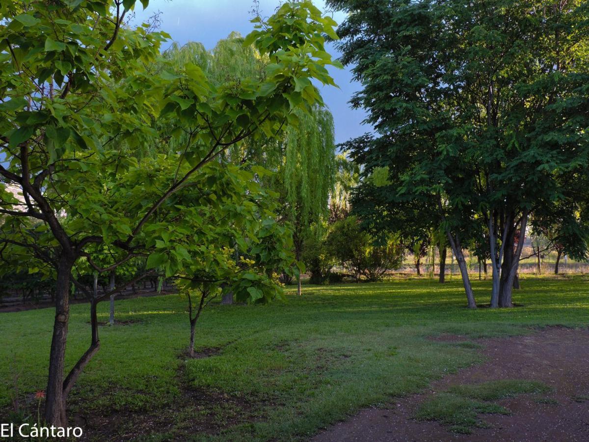 El Cantaro San Rafael (Mendoza)