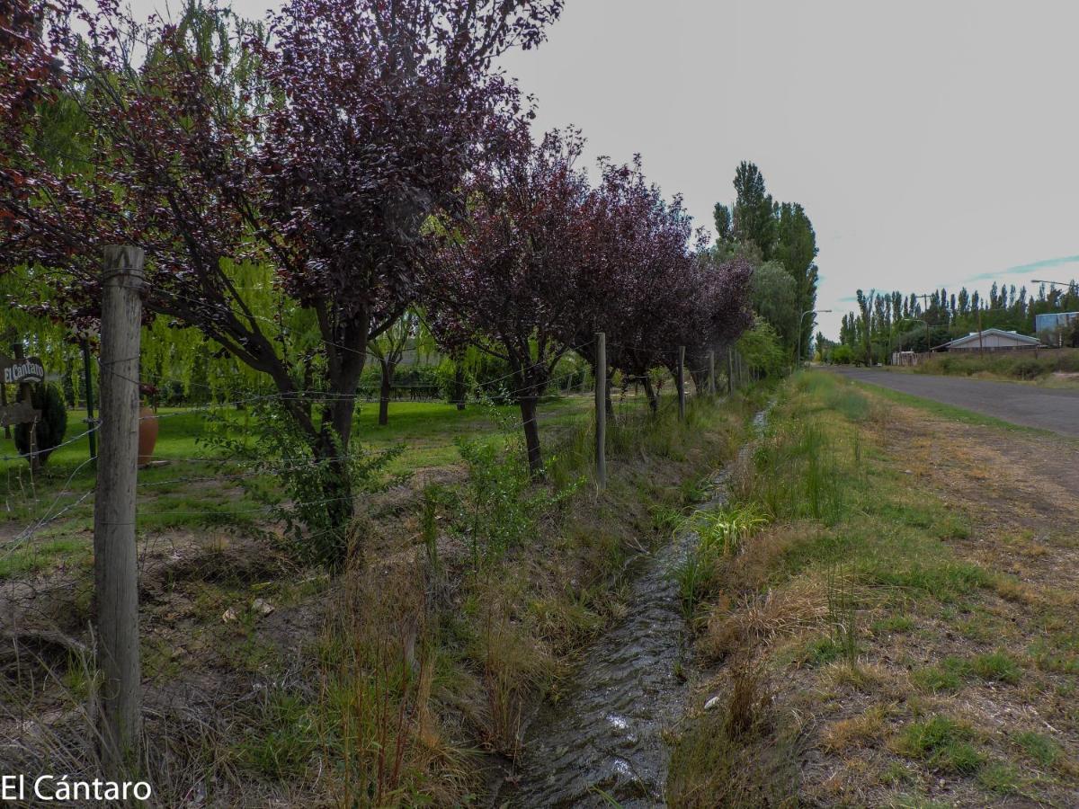 El Cantaro San Rafael (Mendoza)